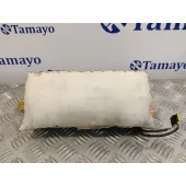 Airbag Delantero Derecho para Bmw X5 (E53)