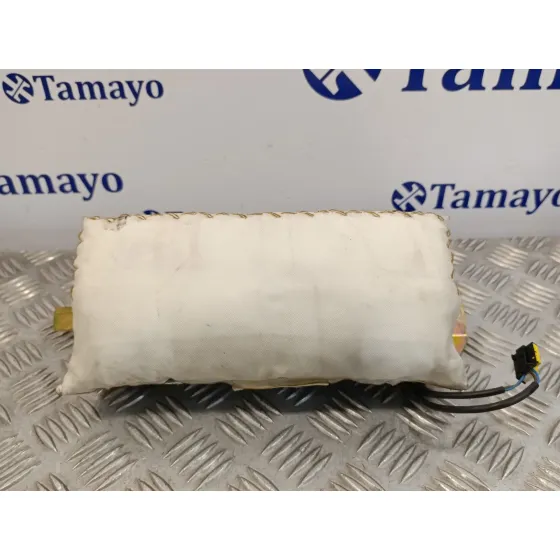 Airbag Delantero Derecho para Bmw X5 (E53)