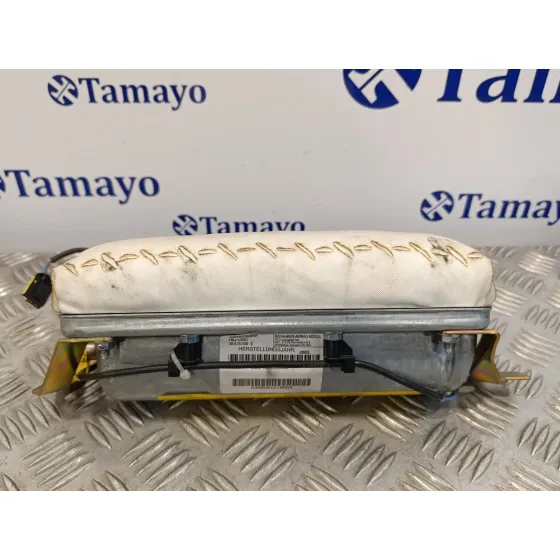 Airbag Delantero Derecho para Bmw X5 (E53)