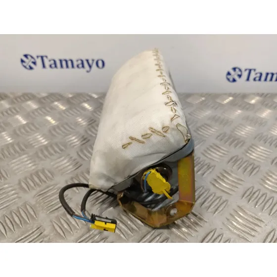 Airbag Delantero Derecho para Bmw X5 (E53)