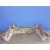 Paragolpes Trasero para Audi A4 Berlina (8E)