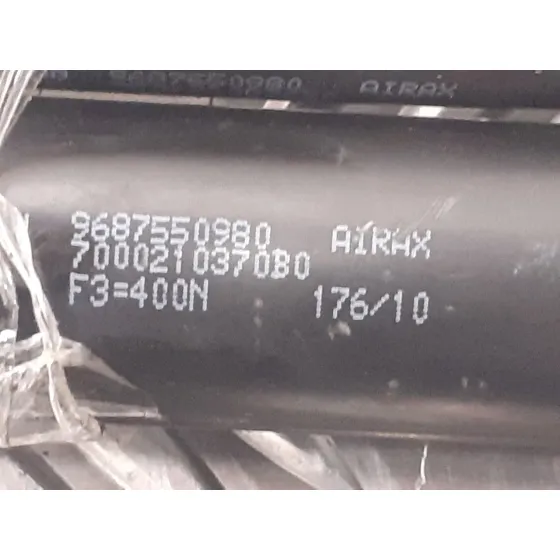 Amortiguadores Maletero / Porton para Citroën C3