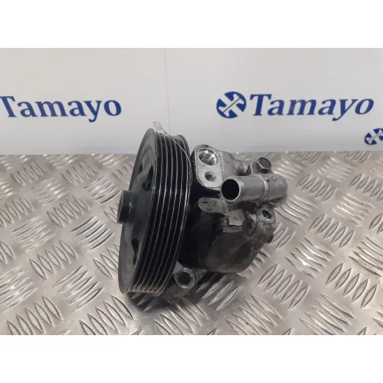 Bomba Servodireccion para Land Rover Freelander (Lr2)