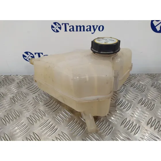 Deposito Expansion para Ford Fiesta (Cb1)