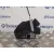 Cerradura Puerta Delantera Izquierda para Ford Fiesta (Cb1)