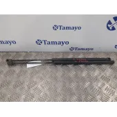 Amortiguadores Maletero / Porton para Ford Fiesta (Cb1)