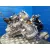 Caja Cambios para Chevrolet Kalos