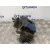 Pinza Freno Delantera Izquierda para Galloper Exceed