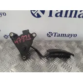 Pedal Acelerador para Renault Kangoo