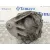 Diferencial Trasero para Bmw Serie 3 Lim. (F30)