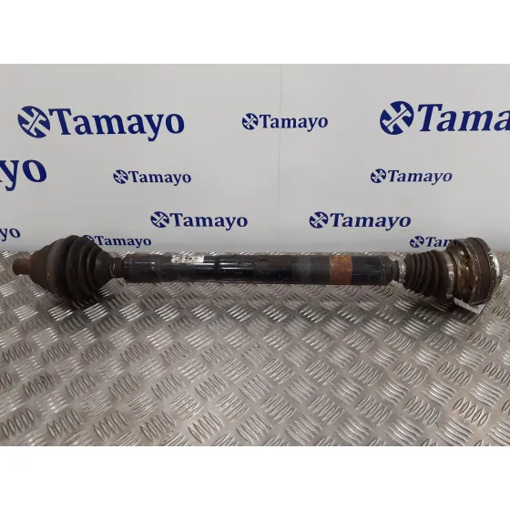 Transmision Delantera Derecha para Seat Leon (1P1)