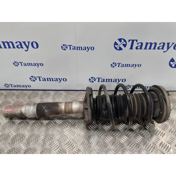 Amortiguador Delantero Derecho para Bmw Serie 7 (E65/E66)