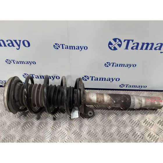 Amortiguador Delantero Derecho para Bmw Serie 7 (E65/E66)