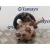 Bomba Direccion para Mitsubishi L 200 (K6/7)
