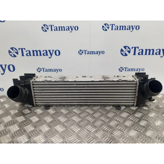 Intercooler para Bmw Serie 3 Lim. (F30)