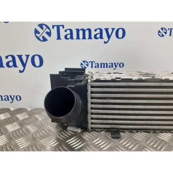 Intercooler para Bmw Serie 3 Lim. (F30)