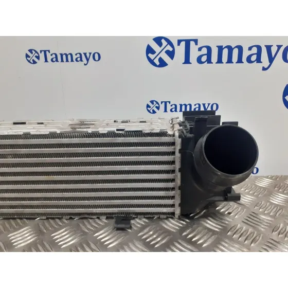Intercooler para Bmw Serie 3 Lim. (F30)