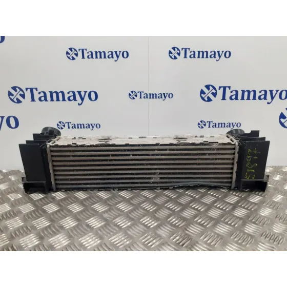 Intercooler para Bmw Serie 3 Lim. (F30)