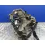 Caja Cambios para Renault Scenic Iii