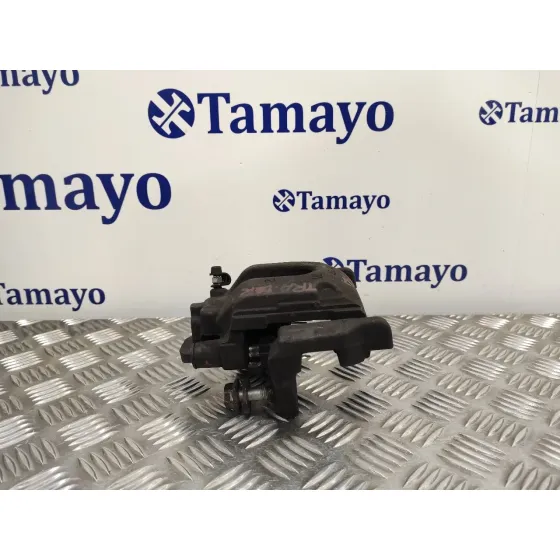Pinza Freno Trasera Derecha para Bmw Serie 7 (E65/E66)