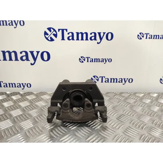 Pinza Freno Trasera Derecha para Bmw Serie 7 (E65/E66)