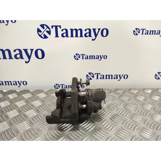 Pinza Freno Trasera Derecha para Bmw Serie 7 (E65/E66)