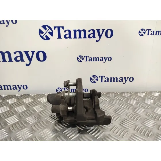 Pinza Freno Trasera Derecha para Bmw Serie 7 (E65/E66)