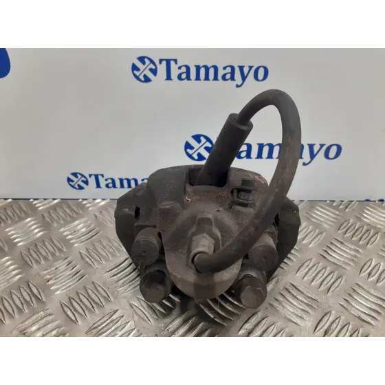 Pinza Freno Trasera Izquierda para Bmw Serie 7 (E65/E66)