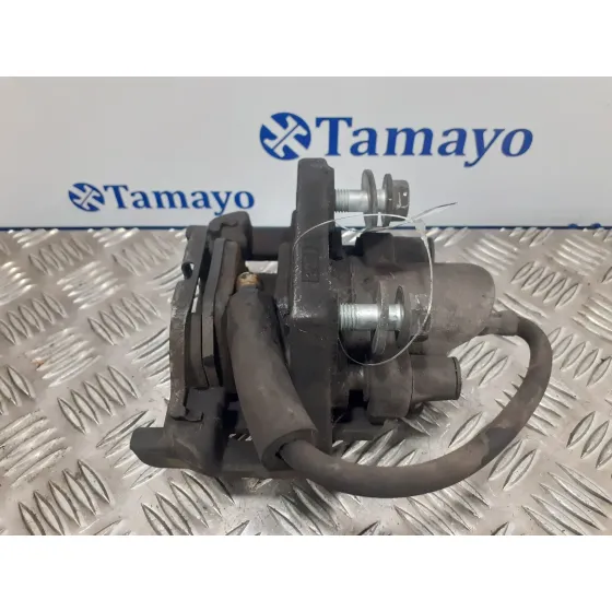 Pinza Freno Trasera Izquierda para Bmw Serie 7 (E65/E66)