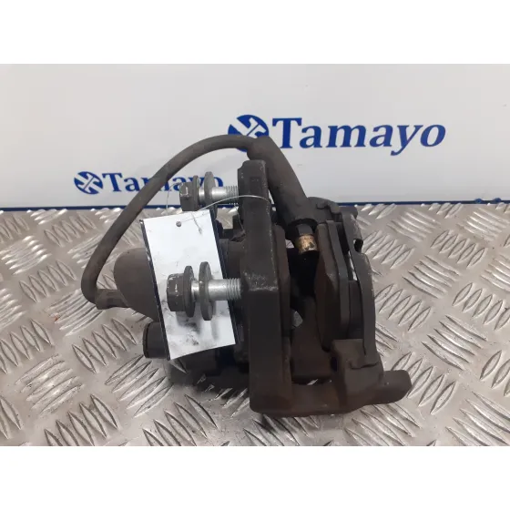 Pinza Freno Trasera Izquierda para Bmw Serie 7 (E65/E66)