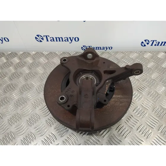 Mangueta Delantera Izquierda para Renault Megane Iii Sport Tourer