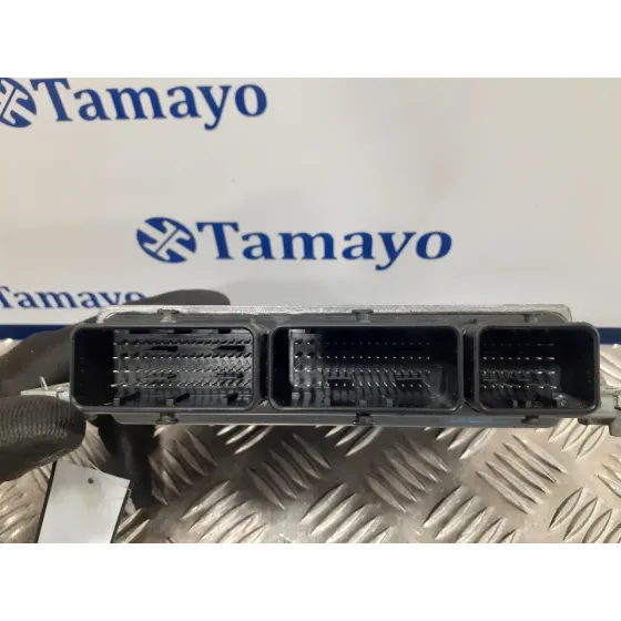 Centralita Motor Uce para Renault Megane Iii Sport Tourer