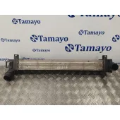 Intercooler para Renault Scenic Iii