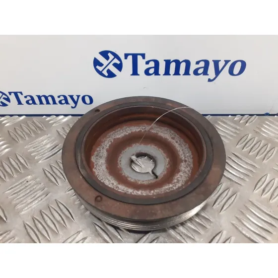 Polea Ciguenal para Renault Scenic Iii