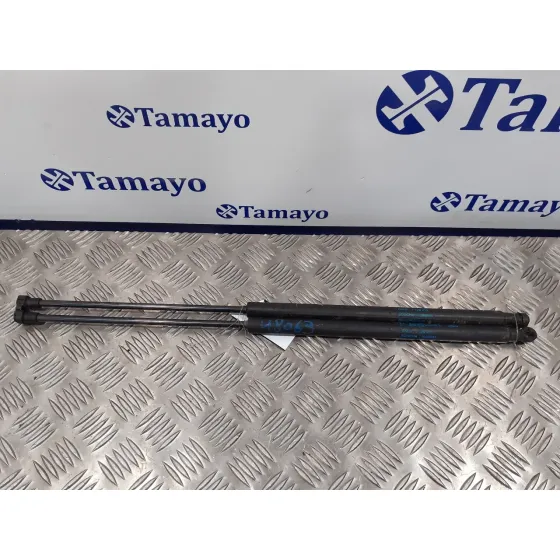 Amortiguadores Maletero / Porton para Bmw Serie 3 Cabrio (E93)