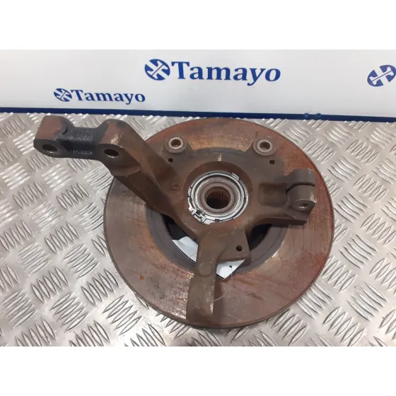 Mangueta Delantera Izquierda para Renault Clio Iii