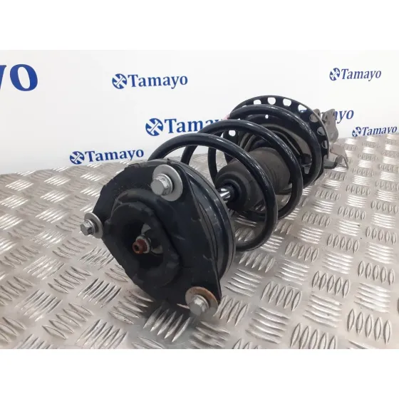 Amortiguador Delantero Izquierdo para Renault Clio Iii