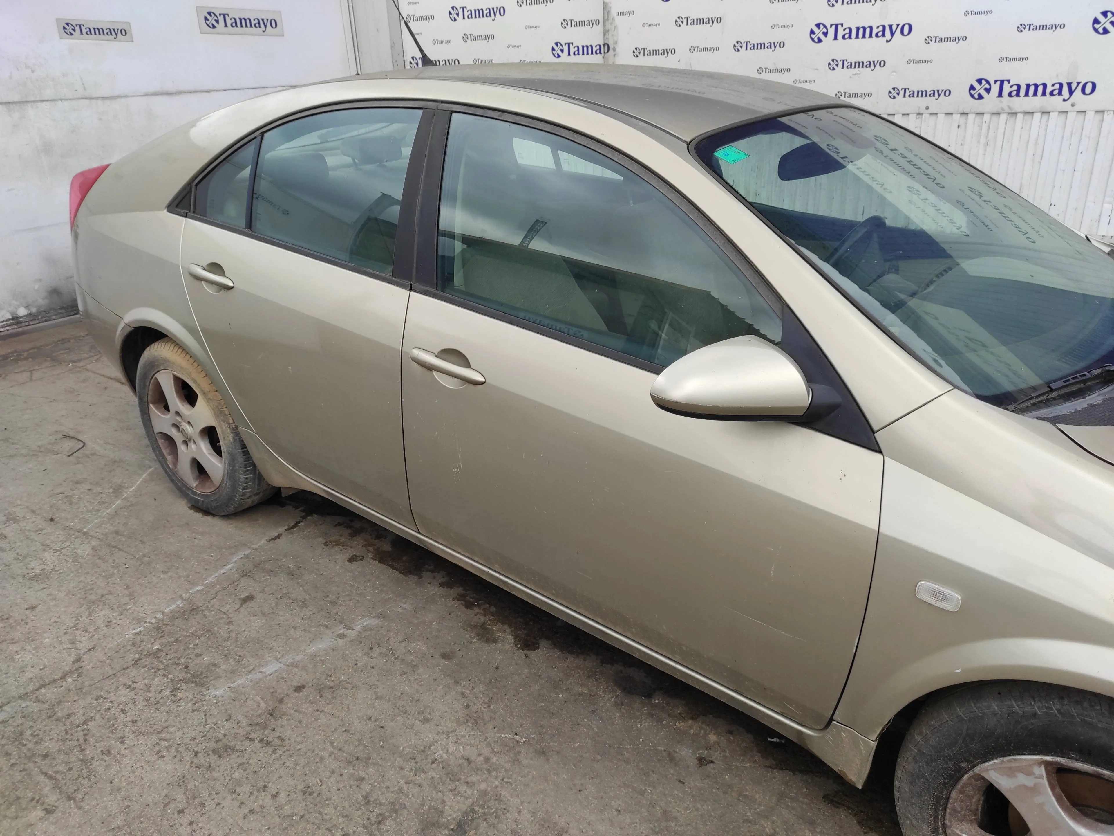 NISSAN PRIMERA BERLINA (P12) '2004 1.9 16V TURBODIESEL CAT DORADO