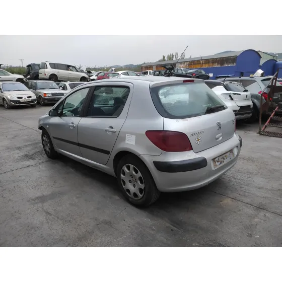 PEUGEOT 307 (S1) '2004 * PLATA