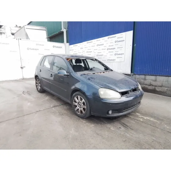 Volkswagen GOLF V (1K1) 2003
