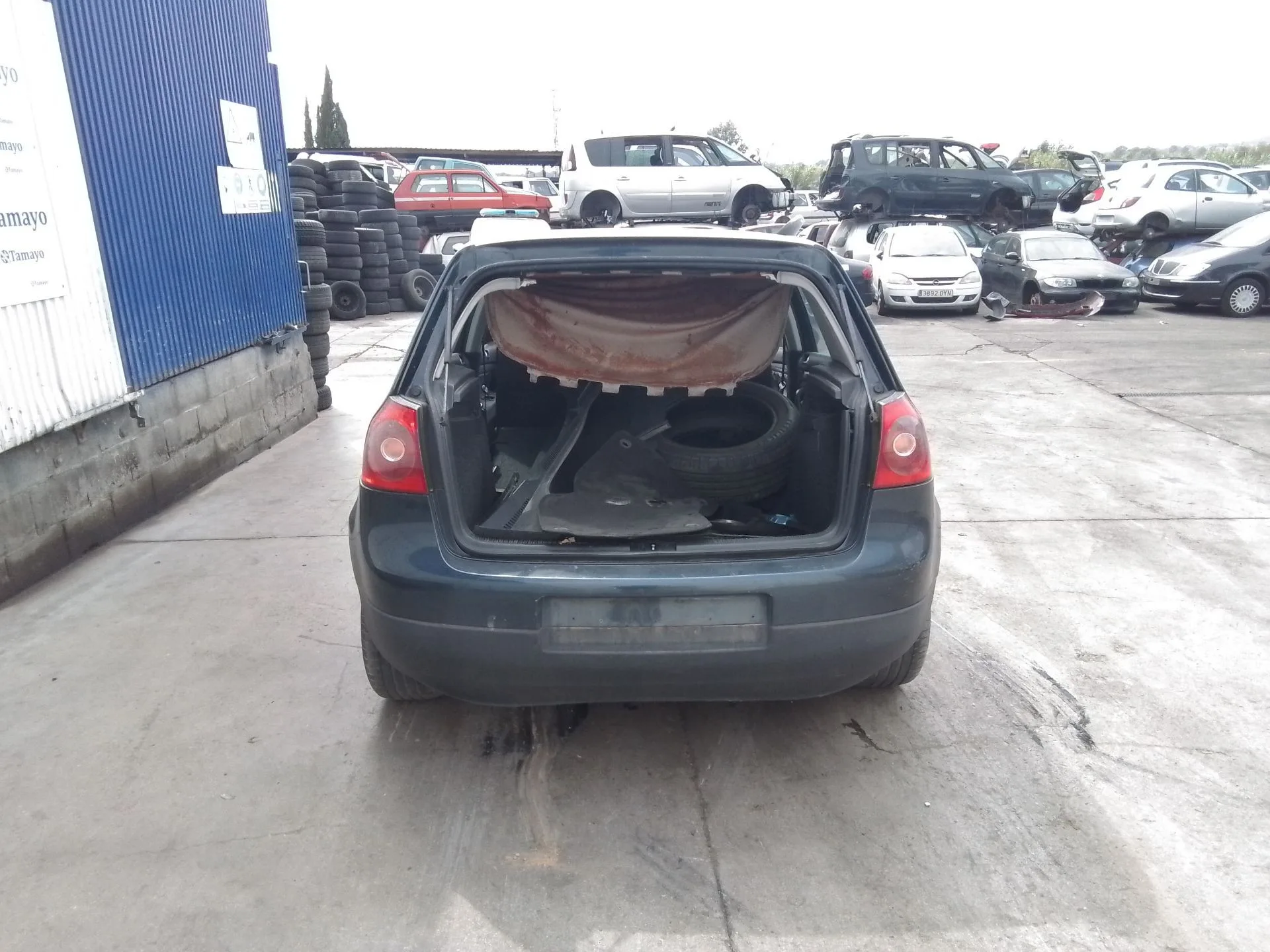 Volkswagen GOLF V (1K1) 2003