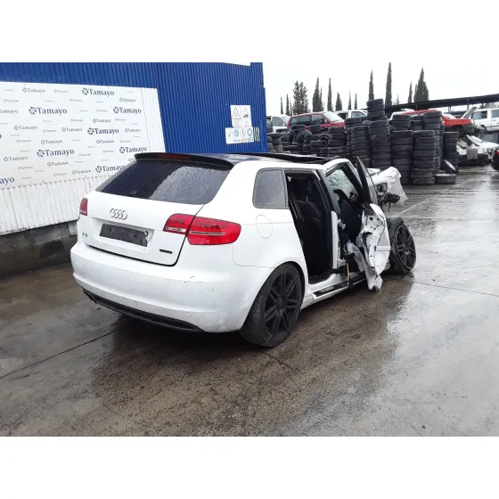 AUDI A3 SPORTBACK (8P) '2009 * BLANCO