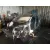 PEUGEOT 307 (S1) PEUGEOT 307 (S1) '2006 1.6 16V CAT PLATA 2001