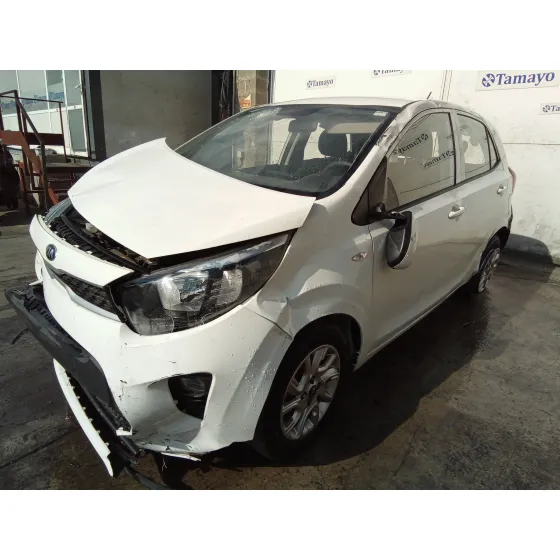 KIA PICANTO (JA) '2019 1.0 CAT BLANCO