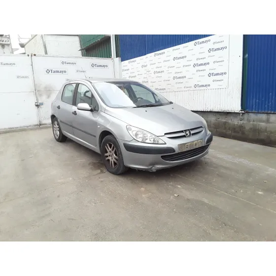 PEUGEOT 307 (S1) '2003 * GRIS