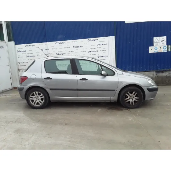 PEUGEOT 307 (S1) '2003 * GRIS