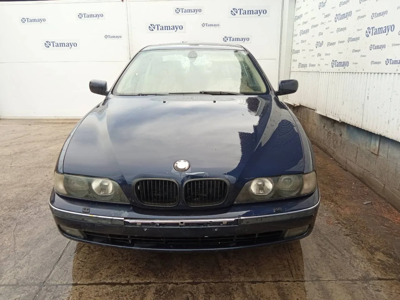 BMW SERIE 5 BERLINA (E39) BMW SERIE 5 BERLINA (E39) '2000 530D MARINO 1995