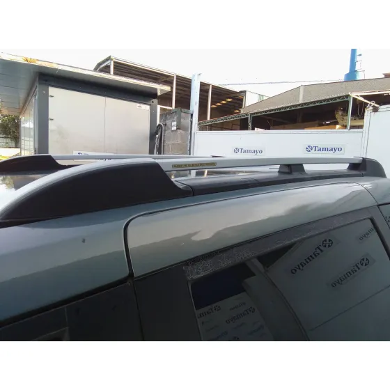 KIA CARNIVAL '2010 2.9 CRDI CAT GRIS