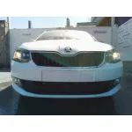 SKODA FABIA SKODA FABIA '2017 ACTIVE BLANCO 2014