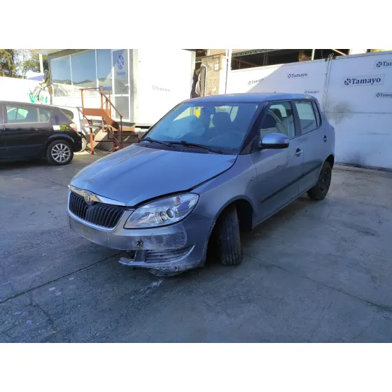 SKODA FABIA (5J2 ) '2013 * ARENA